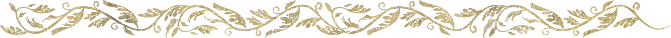 Elden ring shop border